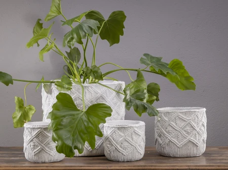 IMG_1956.jpg
