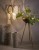IMG_2375.jpg