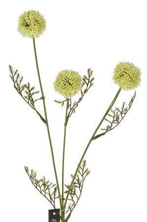 A01855_1.jpg