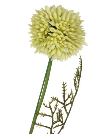 A01855_2.jpg