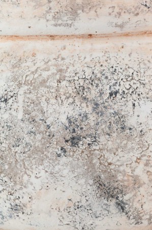 716826_4.jpg