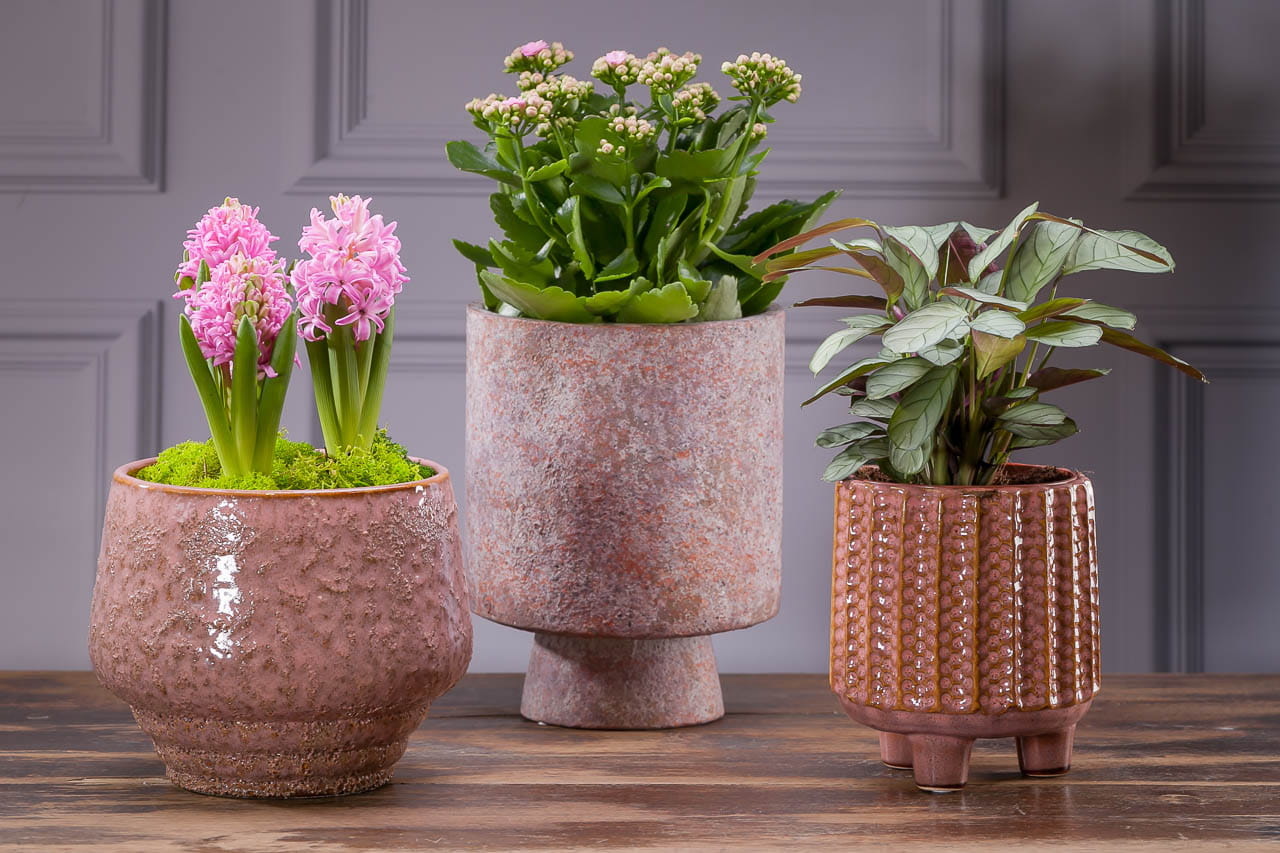 708720_1.jpg